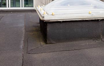 disadvantages of South View flat roofs
