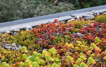 the cost of South View green roof installation