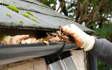 gutter cleaning South View, Hampshire