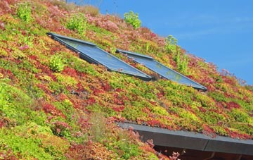 South View living roof systems